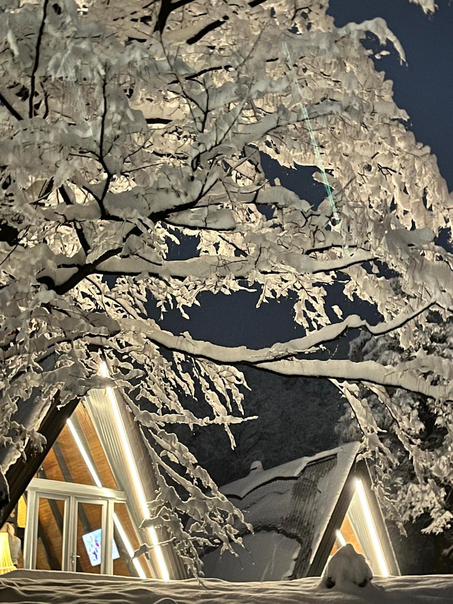 Loon Moon Mountain * Sarajevo