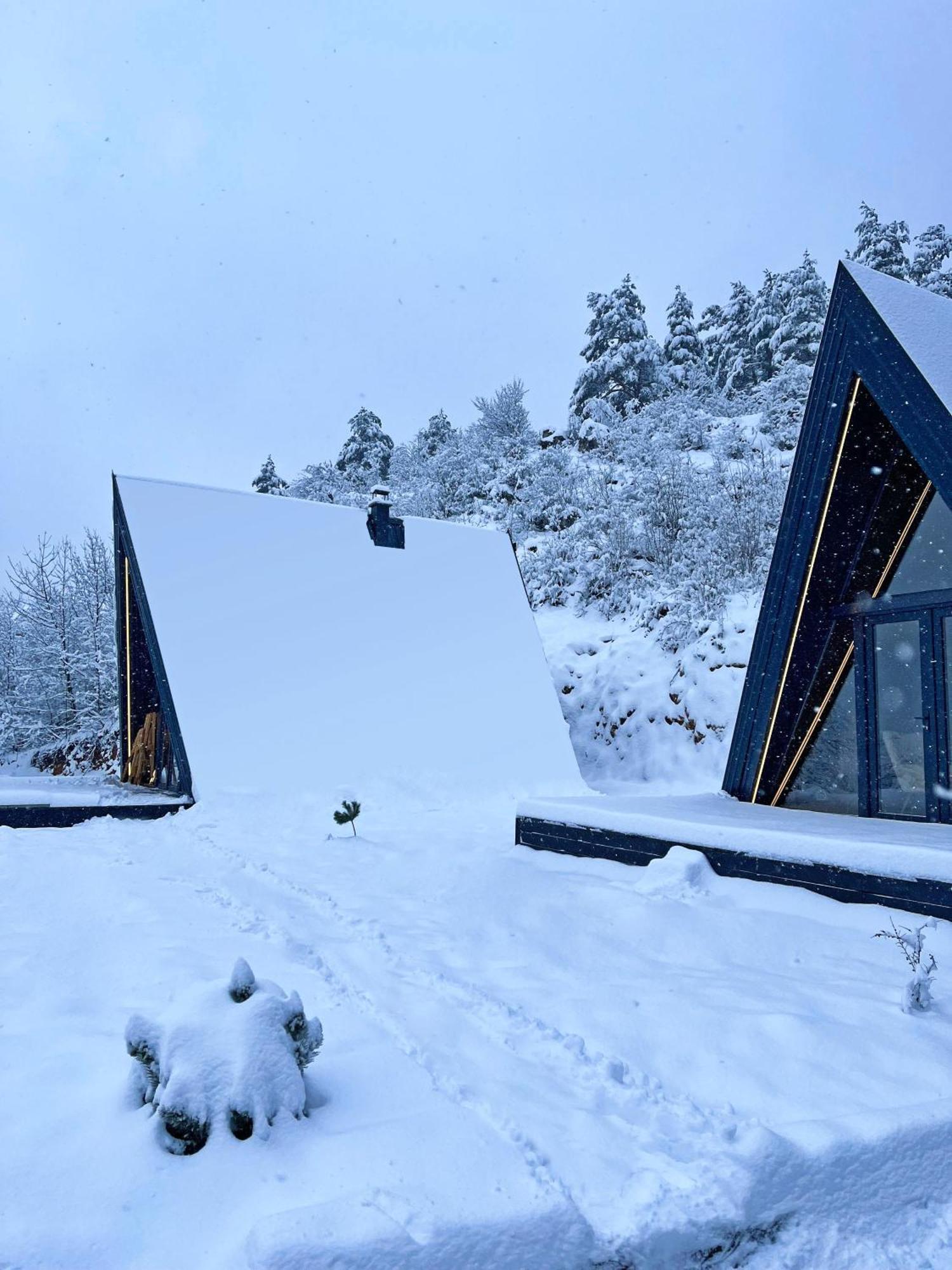 Loon Moon Mountain Chalet
